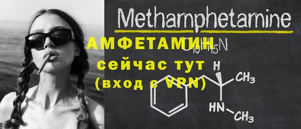 гидра Богданович