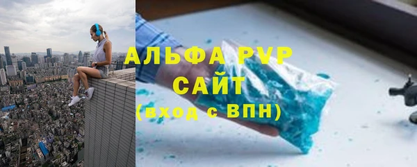 гидра Богданович