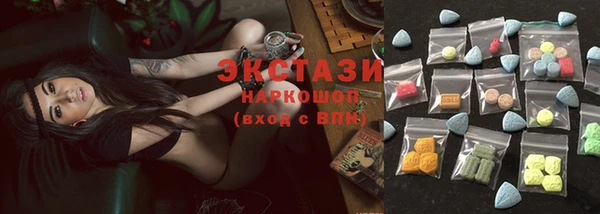 гидра Богданович