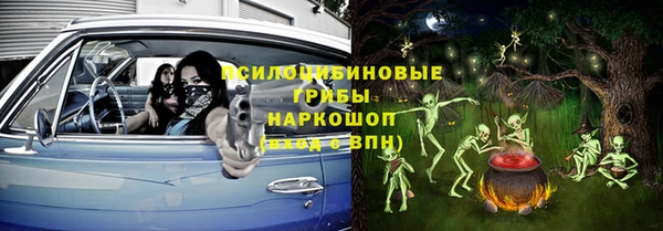 ешки Богородск