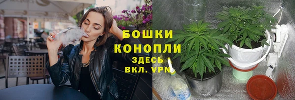 гидра Богданович