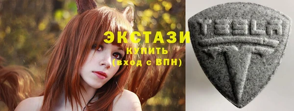гидра Богданович